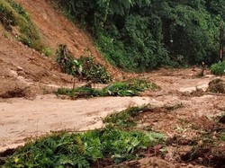 Longsor Tutup Jalan Trans Sulawesi di Mamuju Tengah, Lalin Lumpuh
