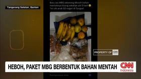 VIDEO: Heboh, Paket MBG Berbentuk Bahan Mentah