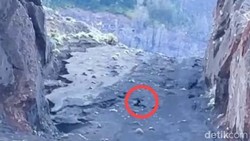 3 Helikopter Disiapkan Evakuasi WN Brasil yang Jatuh di Gunung Rinjani