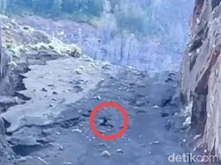 3 Helikopter Disiapkan Evakuasi WN Brasil yang Jatuh di Gunung Rinjani