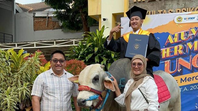 Kisah Inspiratif di Balik Mahasiswa yang Bawa Sapi Saat Wisuda