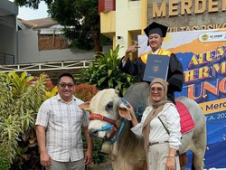 Viral Mahasiswa Bawa Sapi saat Wisuda, Ada Kisah Inspiratif di Baliknya