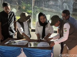 2 Anak Harimau Lahir di Bukittinggi, Titiek Soeharto Beri Nama Rizki-Lestari