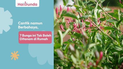 Detik Network