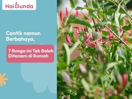 Cantik namun Berbahaya, 7 Bunga ini Tak Boleh Ditanam di Rumah