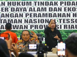 Kapolda Riau Tak Toleransi Komersialisasi Tesso Nilo Bertameng Hak Ulayat
