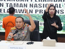Peringatan Keras Kapolda Riau bagi Pelaku Perambahan Hutan di Tesso Nilo