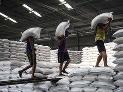 Harga Beras Menjulang Tinggi di 5 Daerah Kalimantan