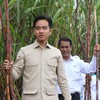 Apa Saja Persoalan yang Mesti Dibenahi Gibran di Papua?