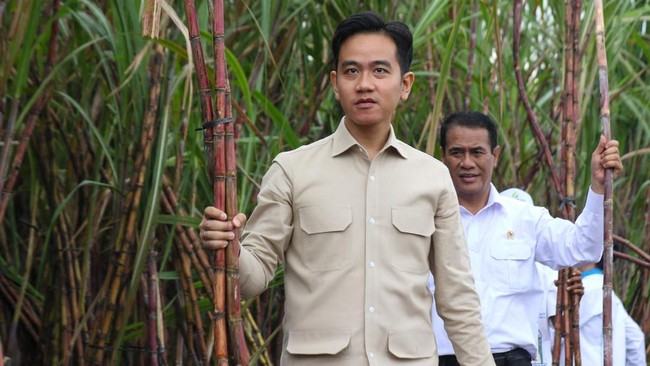 Gibran Video Call Raja Juli Minta Bereskan Tukar Guling Tanah Warga Wapres Gibran langsung mengontak Menhut Raja Juli Antoni lewat panggilan video usai mendengar keluhan warga soal tukar guling tanah desa Sumberagung, Banyuwangi