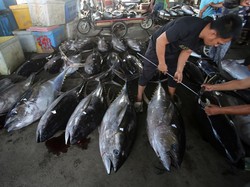 Ekonomi Politik Seafood