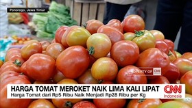 VIDEO: Harga Tomat Meroket, Naik 5 Kali Lipat!