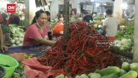 VIDEO: Harga Cabai di Tangerang Melejit Imbas Demo Truk Odol