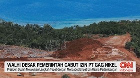 VIDEO: WALHI Desak Pemerintah Cabut Izin PT Gag Nikel