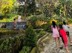 Menyesap Sejuk di Curug Telaga Pancar Cikajayaan Kuningan