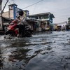 11 Kelurahan di Jakarta Waspada Banjir Rob hingga 11 November