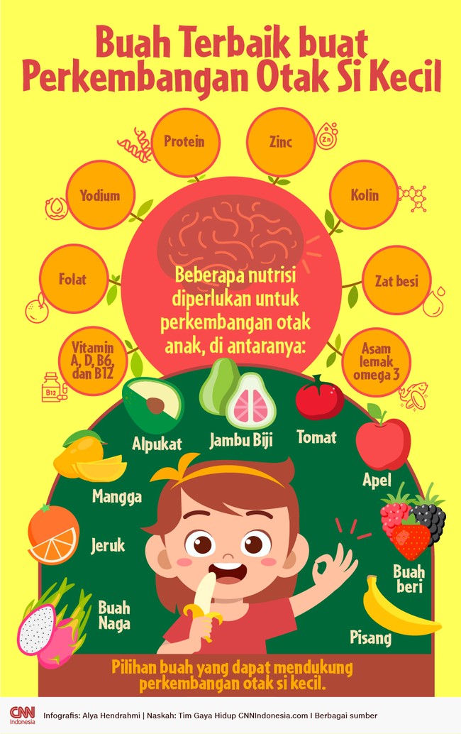 Asupan buah juga mengambil peran penting dalam perkembangan otak anak. Anda bisa memberikan beberapa buah berikut agar si kecil tumbuh cerdas.