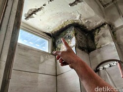 Tanda-tanda Dinding Rembes, Hati-hati Bisa Muncul Black Mold