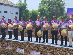 Mendes-Gubernur-Jamintel Tanam Bawang, Harap Banten Bisa Swasembada Pangan