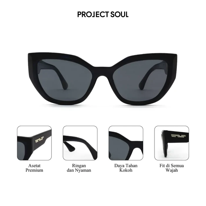 Project Soul Project Soul
