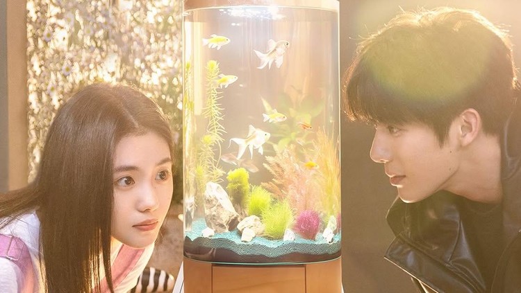 Drama China Be Passionately in Love