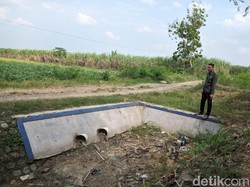 Jeritan Petani Desa Beringin Cirebon gegara  5 Tahun Krisis Air