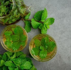 4 Rebusan Daun Herbal yang Ampuh Turunkan BB dengan Cara Alami dan Murah