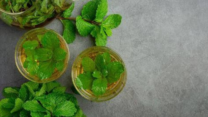 4 Rebusan Daun Herbal yang Ampuh Turunkan BB dengan Cara Alami dan Murah