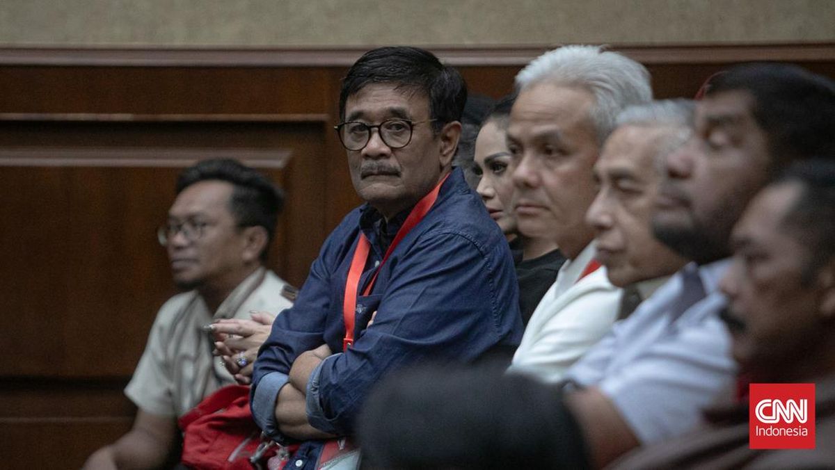 Soal Lembong dan Hasto, Djarot Sentil 'Korupsi Gajah' yang Dibiarkan