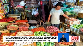 VIDEO: Harga Cabai Kembali Stabil Pasca Demo ODOL