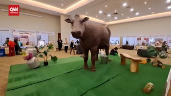 VIDEO: Patung Sapi Raksasa Curi Perhatian Festival Cokelat Chile