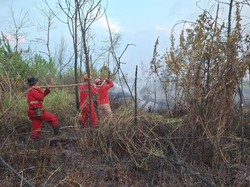 Lahan 2 Hektare di Ogan Ilir Terbakar, Diduga Sengaja untuk Buka Kebun