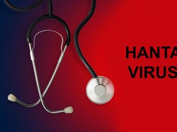 Warga Bandung Waspada Virus Hanta! Ini Gejalanya Mirip Flu Biasa
