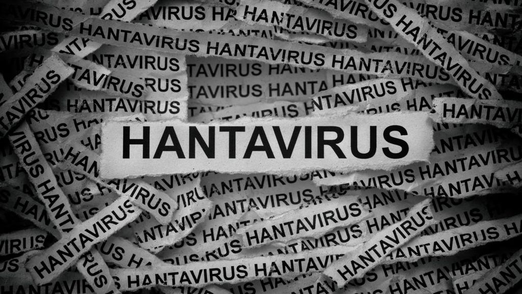 WHO Lacak Hanta Virus di Pesawat Usai Wabah di Kapal Pesiar