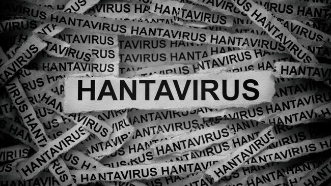 Salah satu penumpang kapal pesiar yang meninggal akibat hantavirus sempat mengambil penerbangan ke Johannesburg, Afrika Selatan.