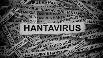 WHO Lacak Hanta Virus di Pesawat Usai Wabah di Kapal Pesiar