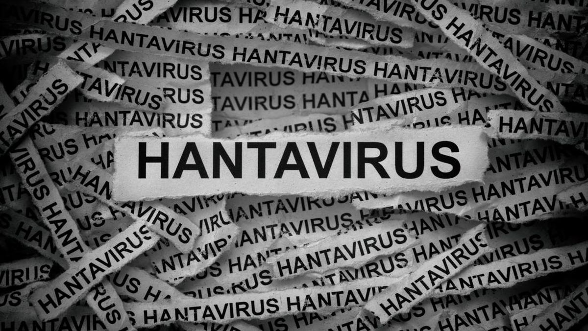 WHO Lacak Hanta Virus di Pesawat Usai Wabah di Kapal Pesiar
