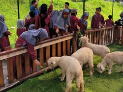 7 Tempat Wisata Anak di Jogja yang Murah, Bisa Rekreasi Edukatif di Alam!