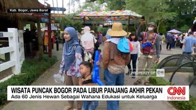 VIDEO: Wisata Puncak Bogor Diserbu Pengunjung Saat Libur Panjang