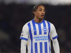 Chelsea si Mitra Bisnis Setia Brighton