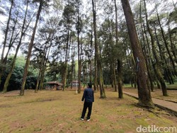 Langkah Menuju Bahagia dan Sejuk di Lembah Manguntapa