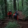 4 Pendaki Tersesat di Gunung Batukaru Bali Dievakuasi Tim SAR