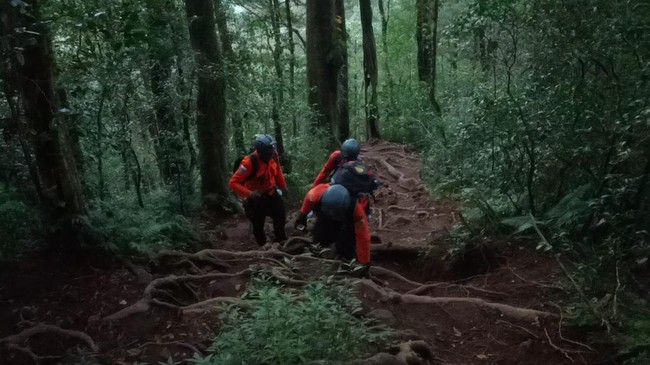 Empat remaja yang tersesat di Gunung di Gunung Batukaru Kabupaten Tabanan, Bali berhasil ditemukan dengan selamat dan dievakuasi oleh tim SAR Bali