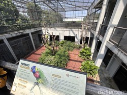 Video: BRIN Punya Eduwisata Tentang Hewan di Bogor, Isinya Kayak Apa Ya?