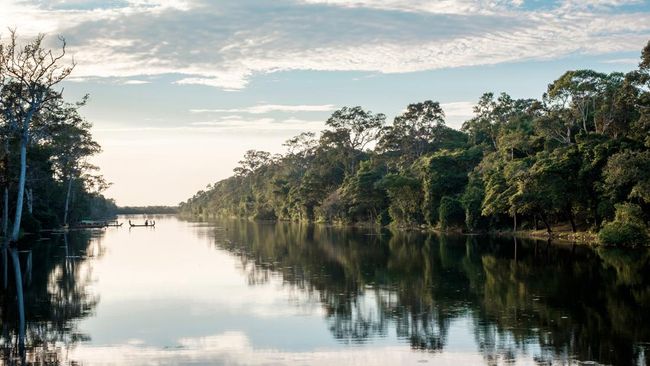 10 Fakta Hutan Amazon Brasil yang Diberi Rating Bintang 1 oleh Netizen Indonesia