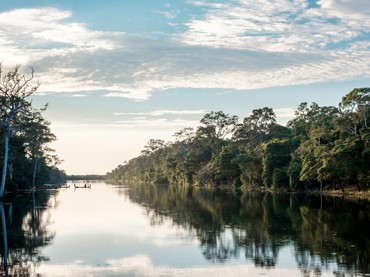 img-title 10 Fakta Hutan Amazon Brasil yang Diberi Rating Bintang 1 oleh Netizen Indonesia