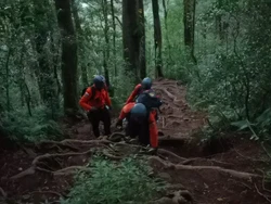 4 Pendaki Tersesat di Gunung Batukaru, Mereka Diduga Salah Jalur