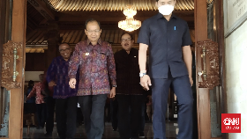 Sikap Gubernur Koster soal Usul Legalisasi Sabung Ayam di Bali