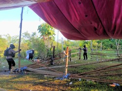 Arena Sabung Ayam di Tarakan Digerebek, 11 Ekor Ayam Disita