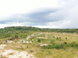 Kementerian ATR/BPN Bantah Isu 2026 Tanah Tak Bersertifikat Diambil Negara